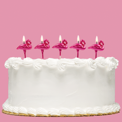 Pink Flamingos Paraffin Shape Candles