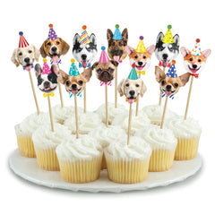 Party Dogs Picks (12-pack)